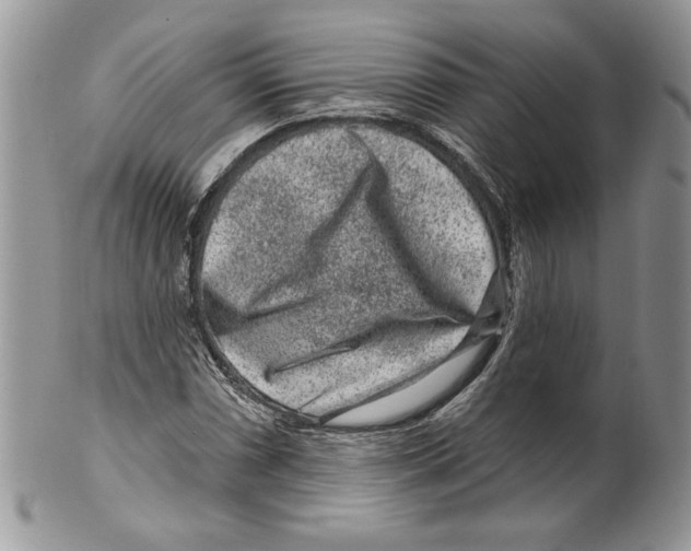 X0000099561066200806131229