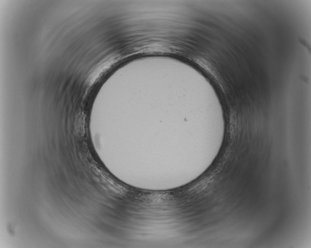 X0000099561067200806131229