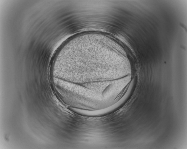 X0000099561068200806131229