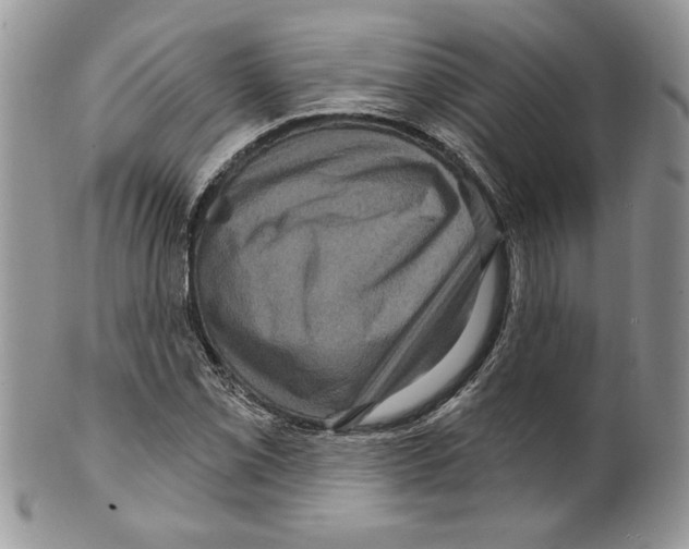 X0000099561069200806131229