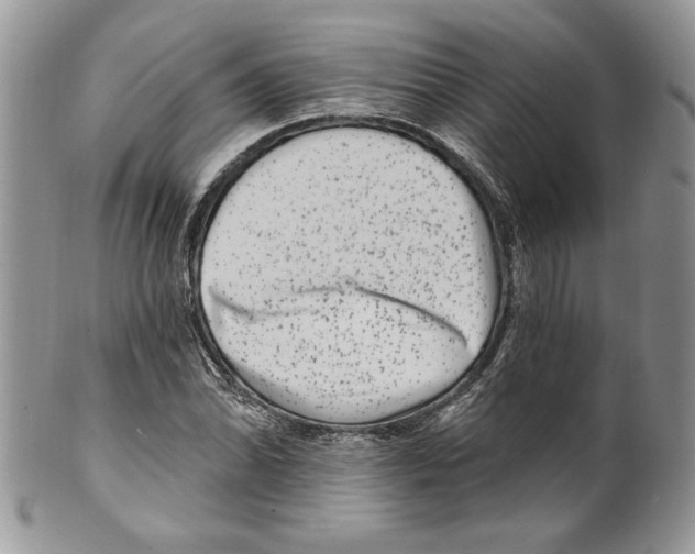 X0000099561070200806131229