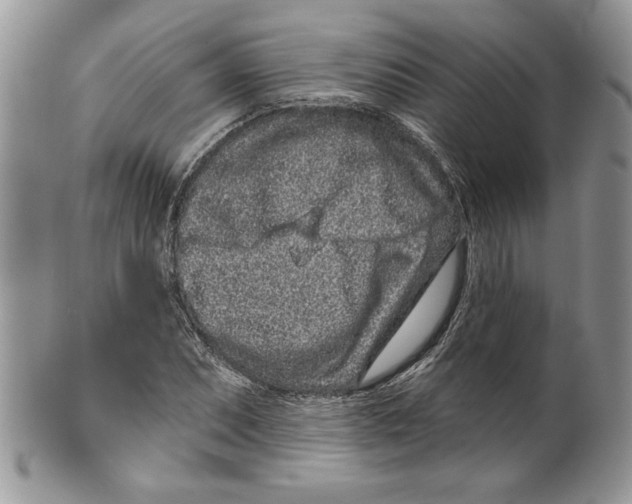 X0000099561071200806131229