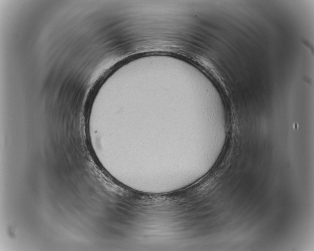 X0000099561072200806131229