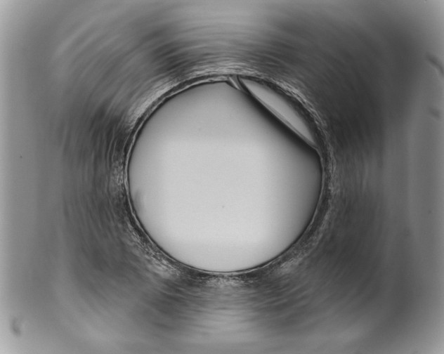 X0000099561073200806131229