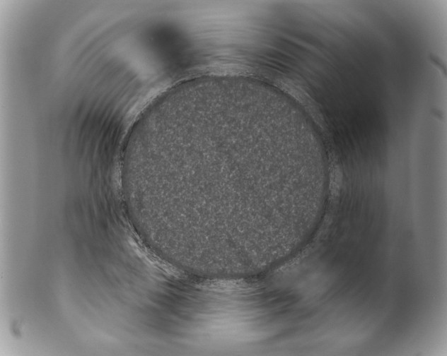 X0000099561074200806131229