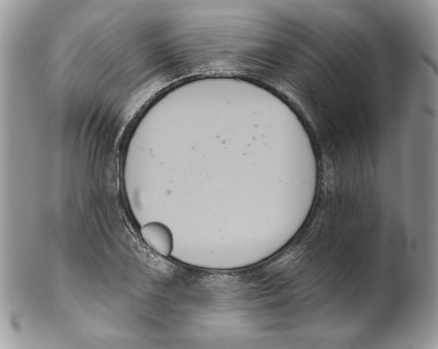 X0000099561075200806131229