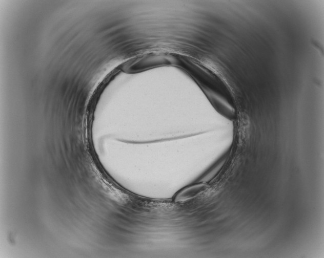 X0000099561076200806131229