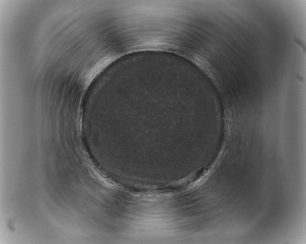 X0000099561077200806131229