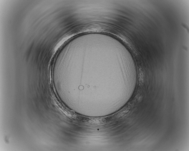 X0000099561078200806131229