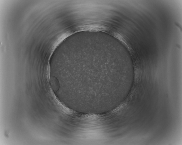 X0000099561079200806131229