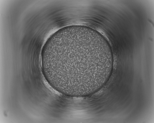 X0000099561080200806131229