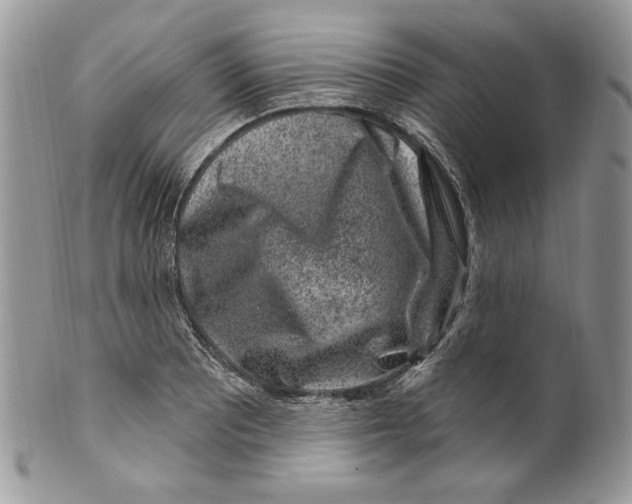 X0000099561081200806131229