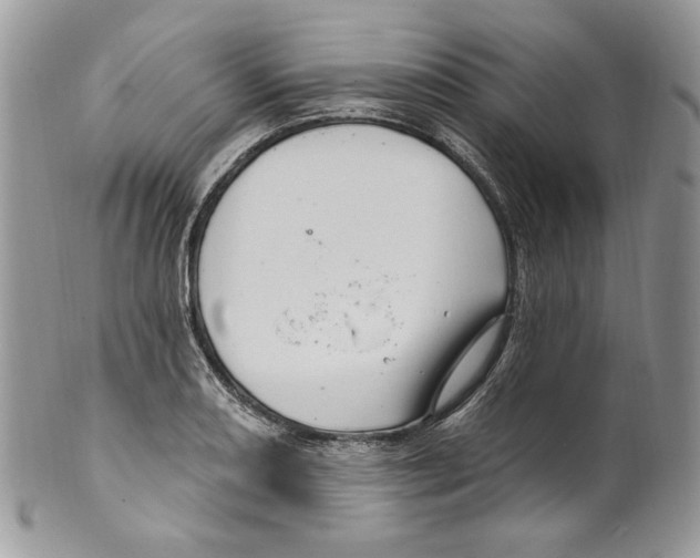 X0000099561082200806131229