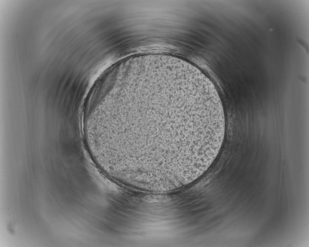 X0000099561083200806131229