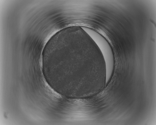 X0000099561084200806131229