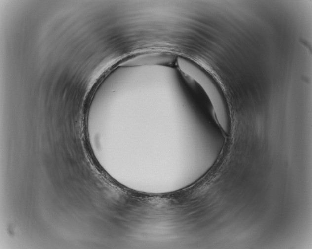 X0000099561085200806131229