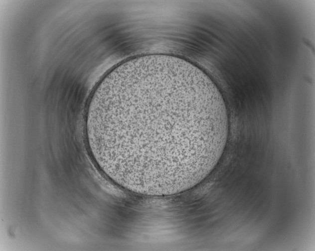 X0000099561086200806131229