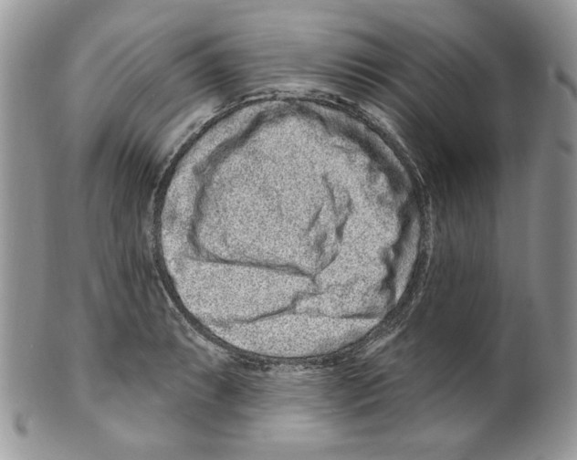 X0000099561087200806131229