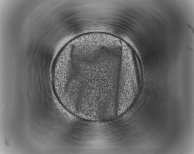 X0000099561088200806131229