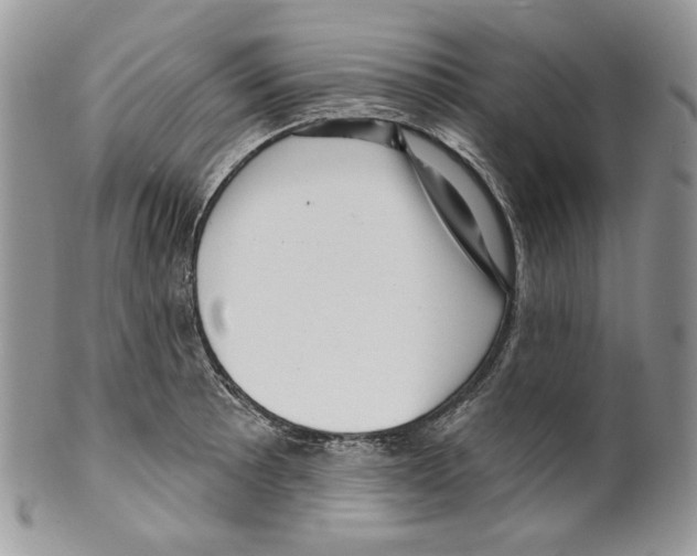 X0000099561089200806131229