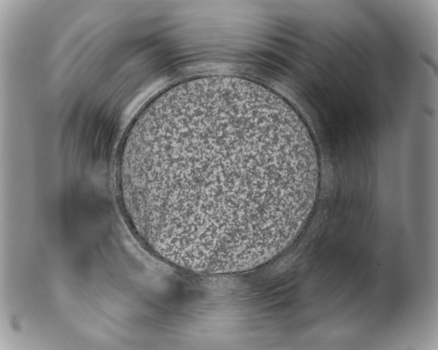 X0000099561090200806131229