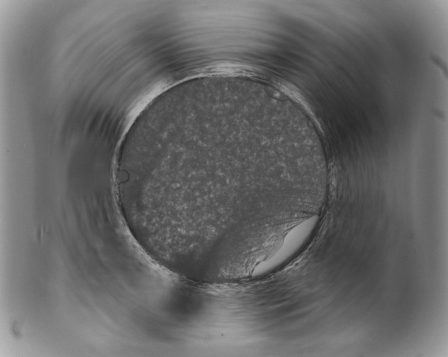 X0000099561091200806131229