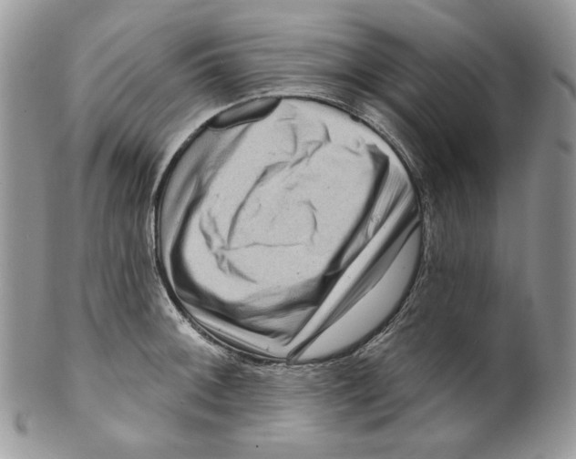 X0000099561092200806131229