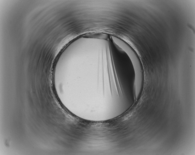 X0000099561093200806131229