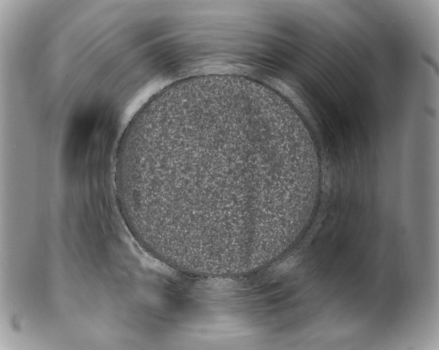 X0000099561094200806131229