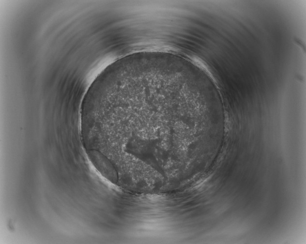 X0000099561095200806131229