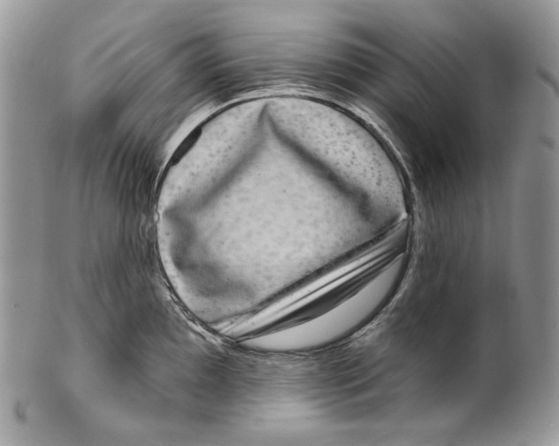 X0000099561097200806131229