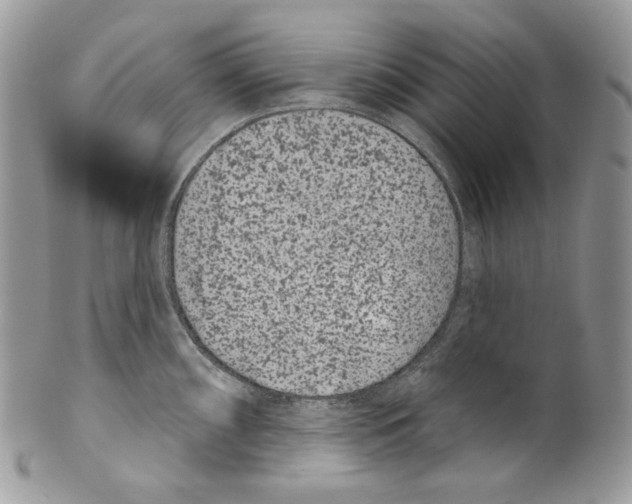 X0000099561098200806131229