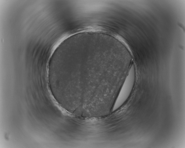 X0000099561099200806131229