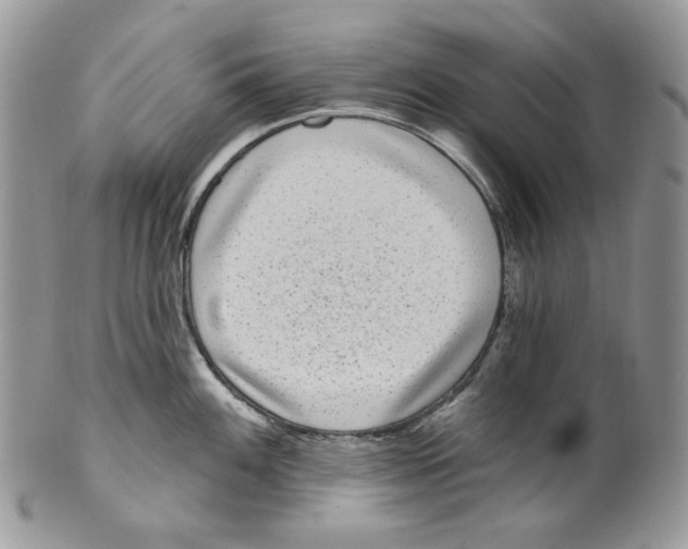 X0000099561100200806131229