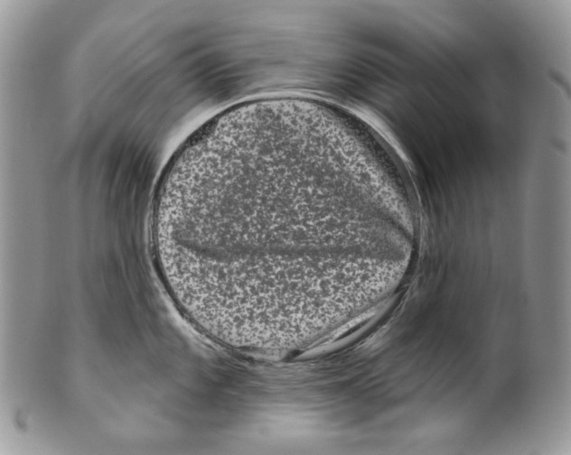 X0000099561101200806131229