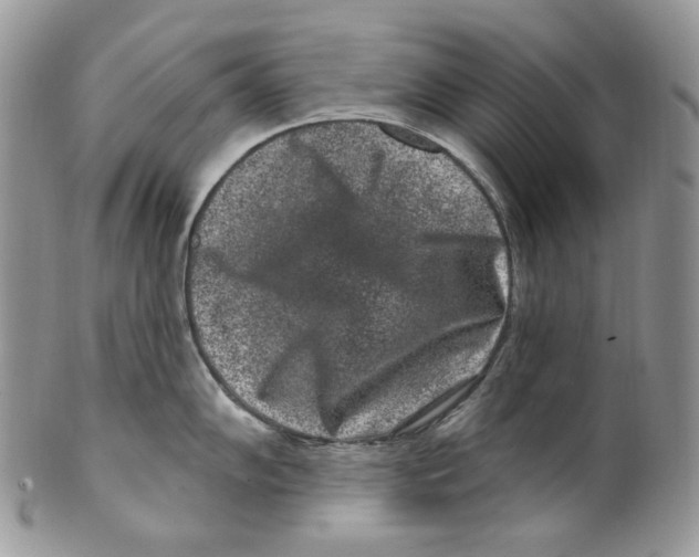 X0000099561102200806131229