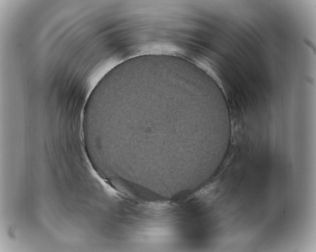 X0000099561103200806131229