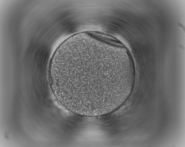 X0000099561104200806131229