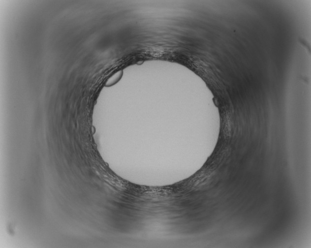 X0000099561105200806131228