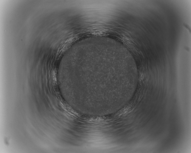 X0000099561106200806131228