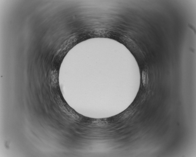 X0000099561107200806131228