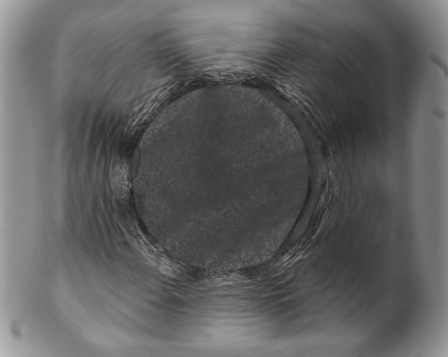 X0000099561108200806131228