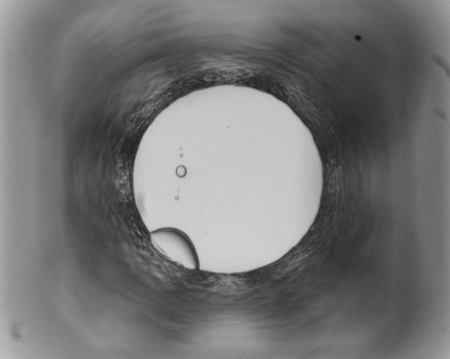 X0000099561109200806131228