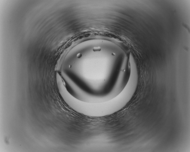 X0000099561110200806131228