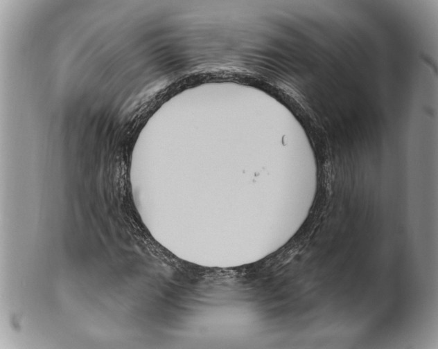 X0000099561111200806131228