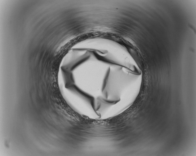 X0000099561112200806131228