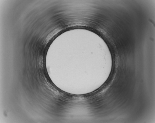 X0000099561113200806131228