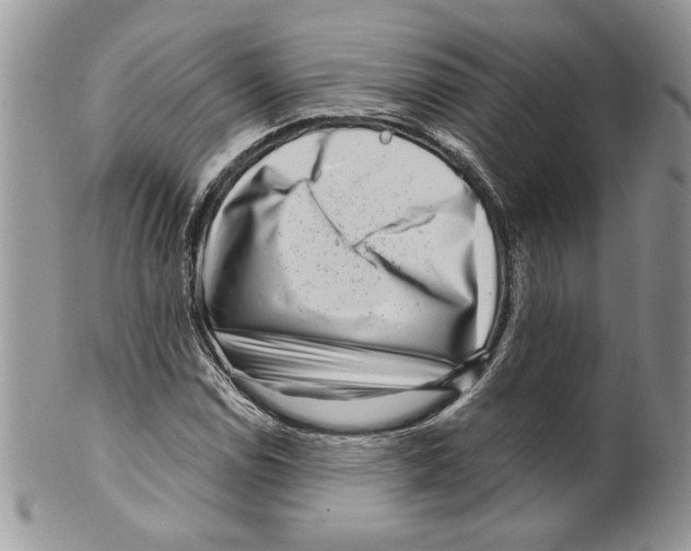 X0000099561114200806131228