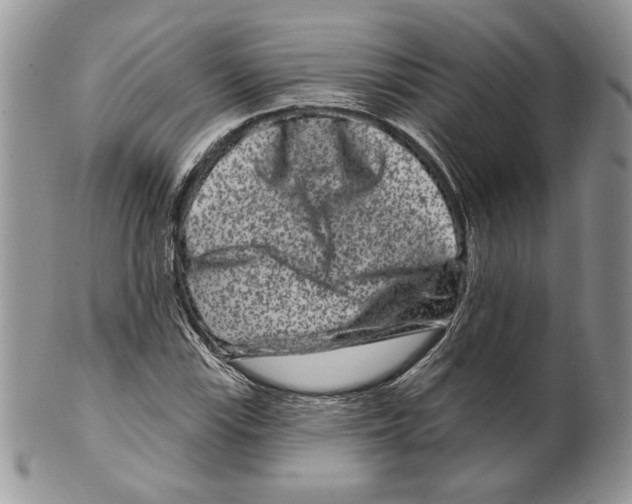 X0000099561115200806131228