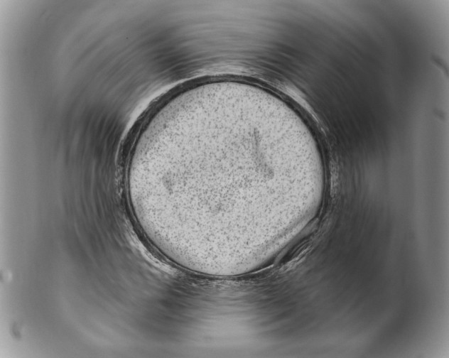 X0000099561116200806131228